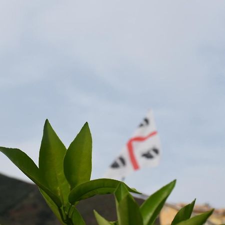 Sa Mariposa Panzió Muravera Kültér fotó